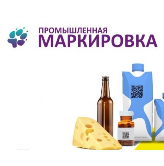 Аналитика отчетов системы Честный знак